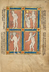 Antipode; Scinopode; Éthiopien côtier; Psalmlarus
